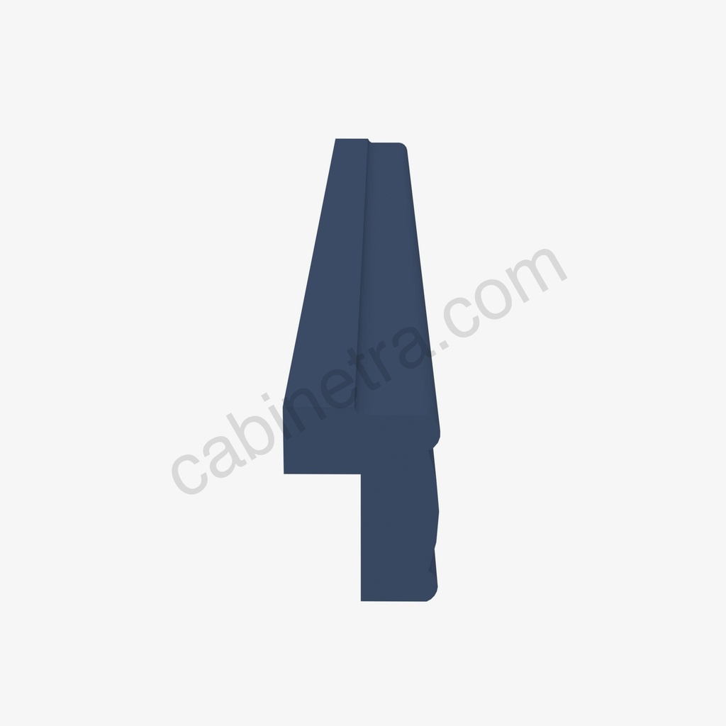 PD-tlrm8-2.jpg